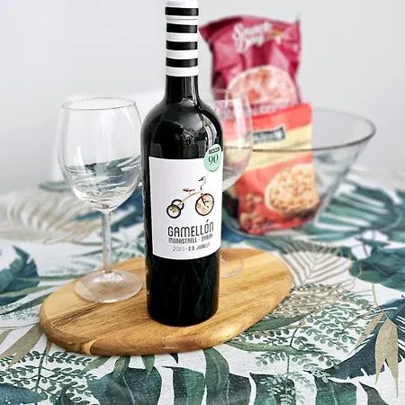 Modern Bohotropical With Terrace *