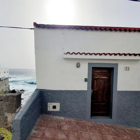 Modern Bohotropical With Terrace