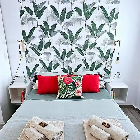 Daire Modern Bohotropical With Terrace La Medida