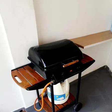 Modern Bohotropical With Terrace Daire *