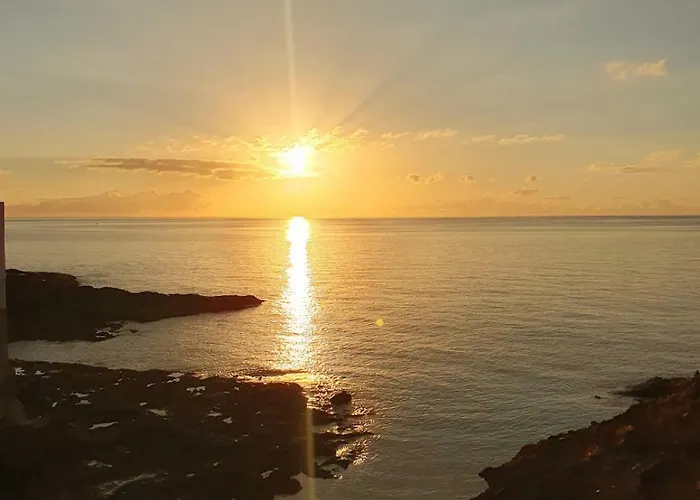 Modern Bohotropical With Terrace