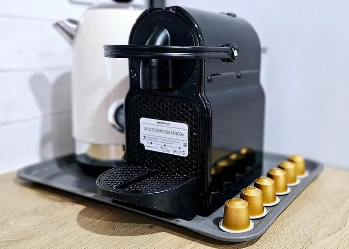 Modern Bohotropical With Terrace Appartement