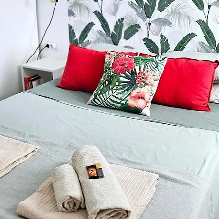 Modern Bohotropical With Terrace La Medida