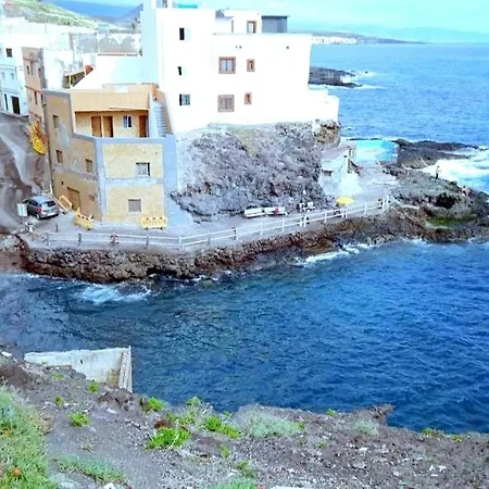 Modern Bohotropical With Terrace