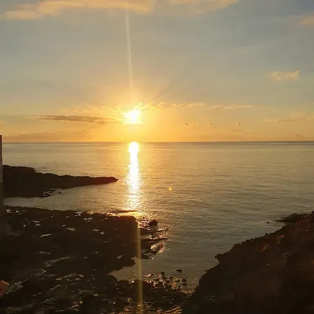 Modern Bohotropical With Terrace