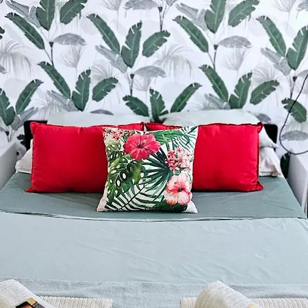 Modern Bohotropical With Terrace La Medida