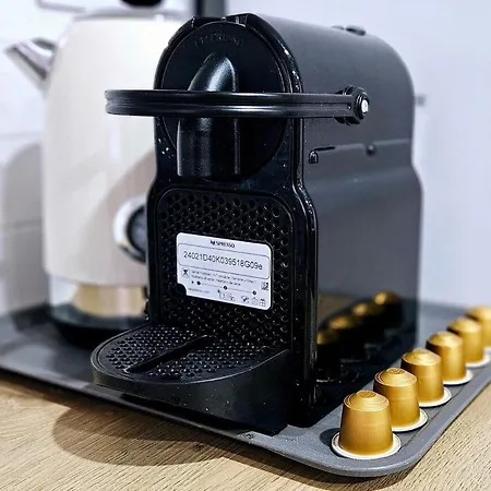 Modern Bohotropical With Terrace Apartment