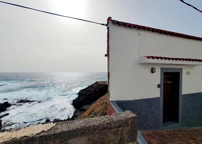 Modern Bohotropical With Terrace Apartament *