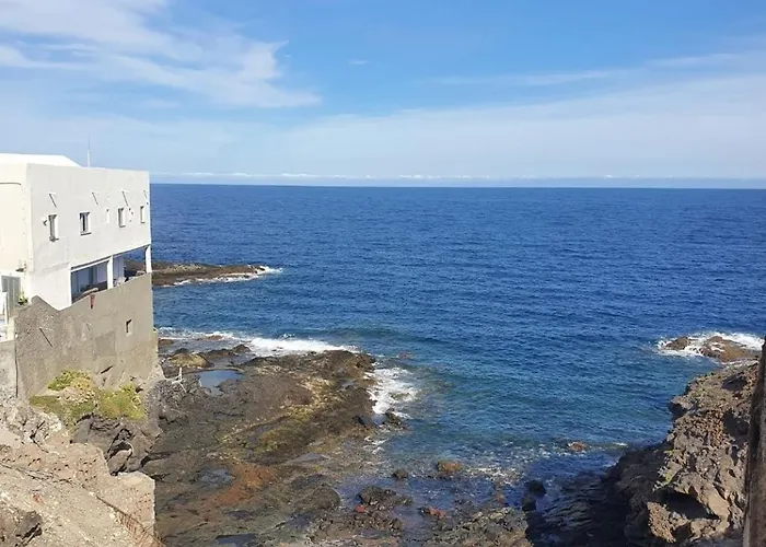 Modern Bohotropical With Terrace *